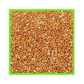 Graines de millet pour oiseaux grande quantité