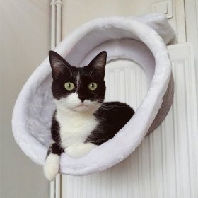 hamac de radiateur moderne pour chat