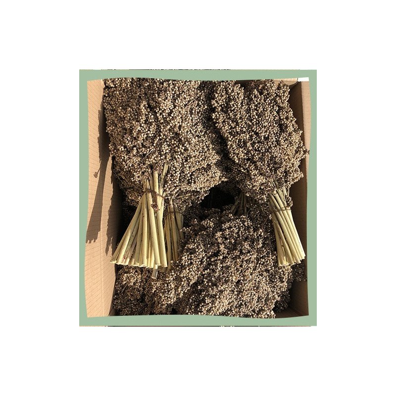 Sorgho blanc pour oiseaux 25Kg