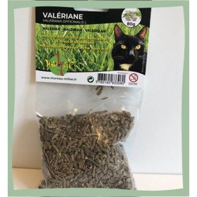 Valériane pour chat 100% naturelle
