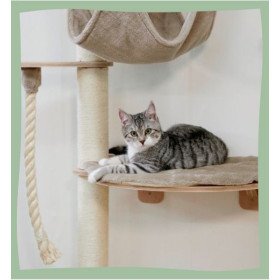 Arbre à chat mural design