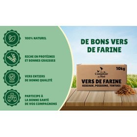 Vers de farine en gros