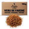 Vers de farine séchés en gros