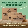 Vers de farine en gros