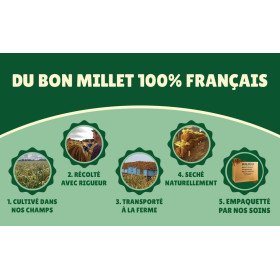 Millet en grappe jaune 15Kg brut- cultivé en Anjou