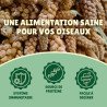 Millet en grappe jaune 15Kg brut- cultivé en Anjou