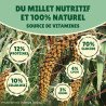 Millet en grappe jaune 15Kg brut- cultivé en Anjou