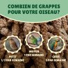 Millet en grappe jaune 15Kg brut- cultivé en Anjou