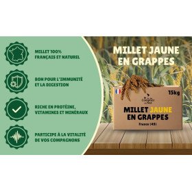 Millet en grappe jaune 15Kg brut- cultivé en Anjou