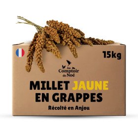 Carton millet en grappe jaune 15Kg - cultivé en Anjou