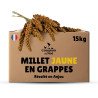 Millet en grappe jaune 15Kg brut- cultivé en Anjou