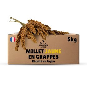 Millet grappe pour oiseaux 5Kg - cultivé en Anjou