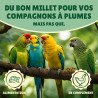 Millet grappe jaune pour oiseaux 5Kg brut - cultivé en Anjou