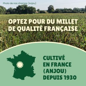 Millet grappe pour oiseaux 5Kg - cultivé en Anjou