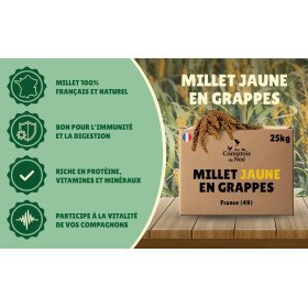 Carton millet en grappe jaune 25 Kg brut - cultivé en Anjou