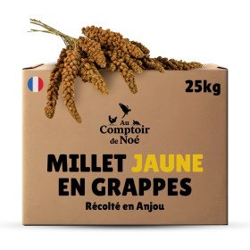 Carton millet en grappe jaune 25 Kg brut - cultivé en Anjou