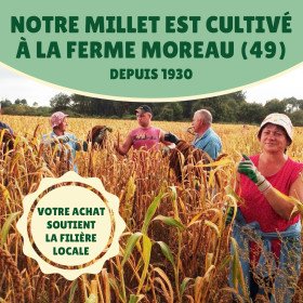 Carton millet en grappe jaune 10 Kg brut - cultivé en Anjou