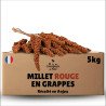 Millet rouge grappe pour oiseaux 5Kg - cultivé en Anjou