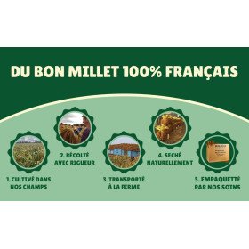 Carton millet en grappe rouge 10 Kg - cultivé en Anjou