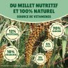 Carton millet en grappe rouge 10 Kg - cultivé en Anjou