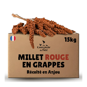 Millet en grappe rouge 15Kg brut  - cultivé en Anjou