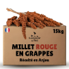 Carton millet en grappe rouge 15Kg - cultivé en Anjou