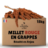 Millet en grappe rouge 15Kg brut  - cultivé en Anjou