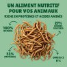 Vers de farine séchés 10kg