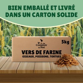 Vers de farine séchés 5kg