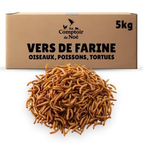 Vers de farine séchés 5kg