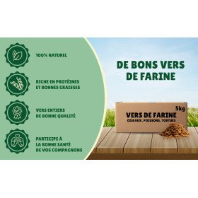 Vers de farine séchés 5kg