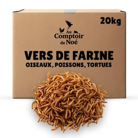 Vers de farine séchés 20kg