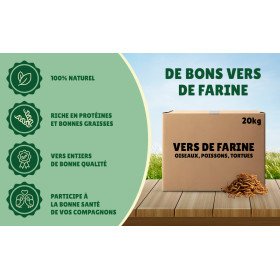 Vers de farine séchés 20kg