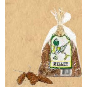 copy of Millet en grappe rouge pour oiseaux