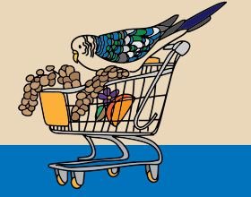 Compléments alimentaires pour oiseaux