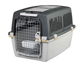 Cage de transport pour chien