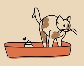 Bac à litière pour chat