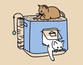 Maison de toilette pour chat
