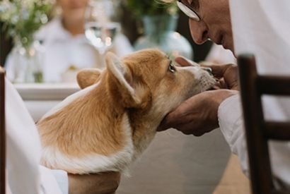 Comment rassurer un chien qui a peur ?