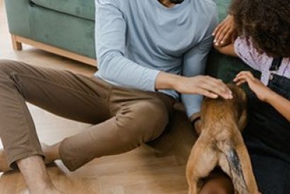 Comment empêcher un chien de faire ses besoins dans la maison ?